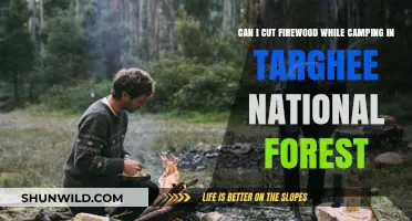 Cutting Firewood in Targhee National Forest: Camping Rules and Tips