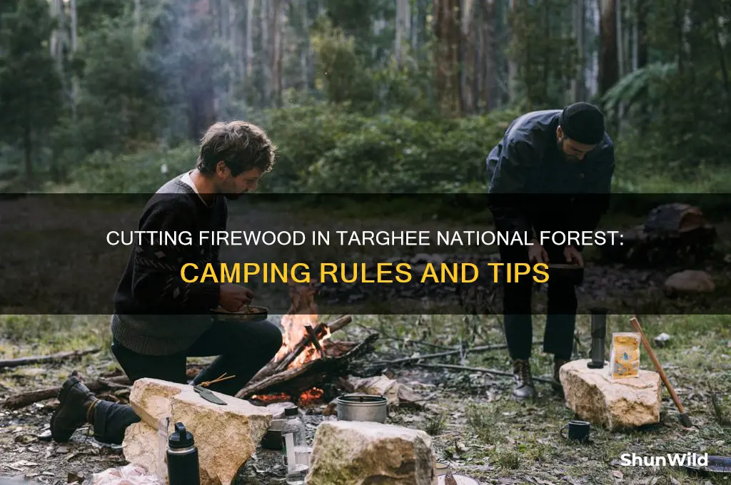 can i cut firewood while camping in targhee national forest