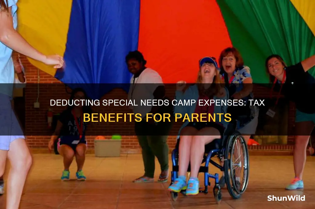 can i deduct camp for my special needs child