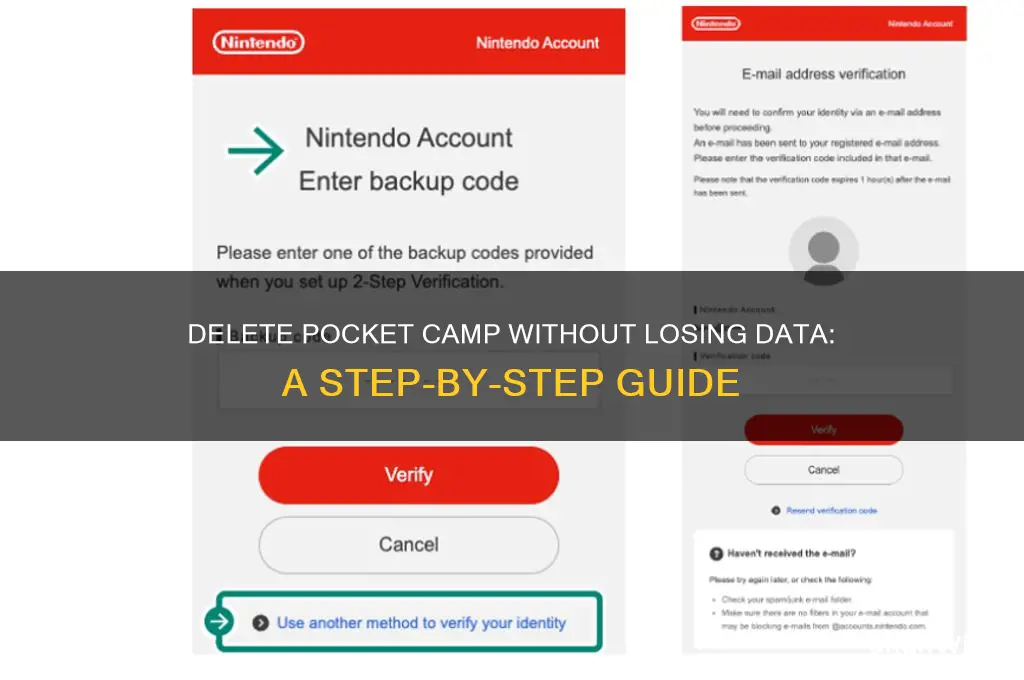can i delete pocket camp and save data
