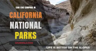 Camping in California National Parks: Understanding the Risks of Fatality