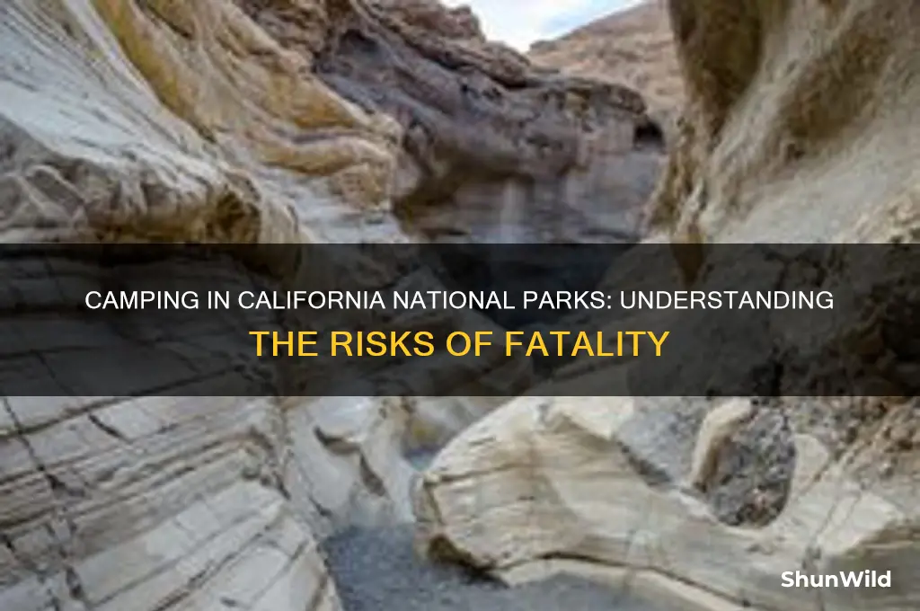 can i die camping in california national parks
