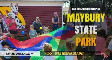 Dispersed Camping at Maybury State Park: Rules, Tips, and What to Know