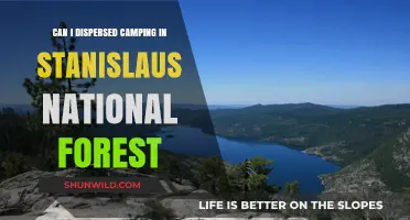 Dispersed Camping in Stanislaus National Forest: Rules, Tips, and Locations