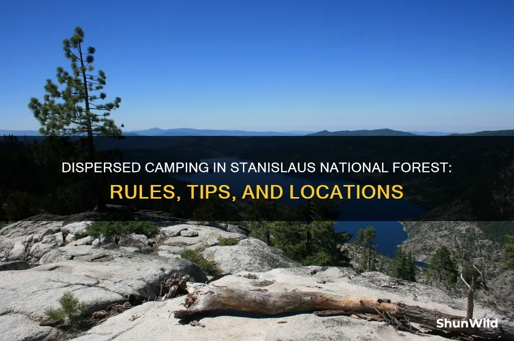 can i dispersed camping in stanislaus national forest