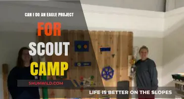Eagle Project Ideas: Scouting Camp Opportunities for Aspiring Eagle Scouts