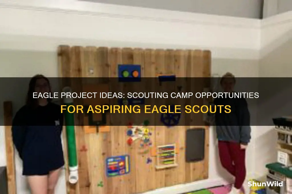 can i do an eagle project for scout camp