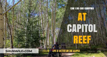 Car Camping at Capitol Reef: Tips, Locations, and What to Expect