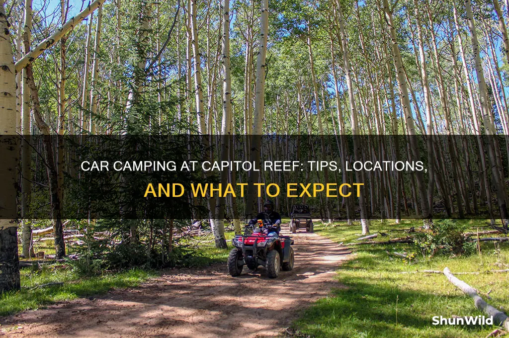 can i do car camping at capitol reef