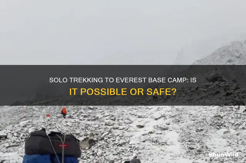 can i do everest base camp trek alone