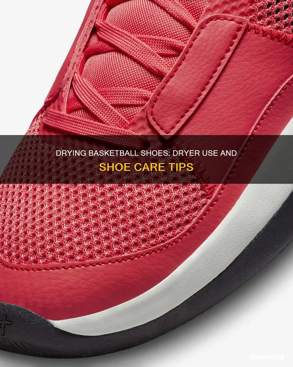 can i dry basketball shoes in the dryer