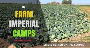 Farming Imperial Camps: Strategies, Rewards, and Best Practices for Success