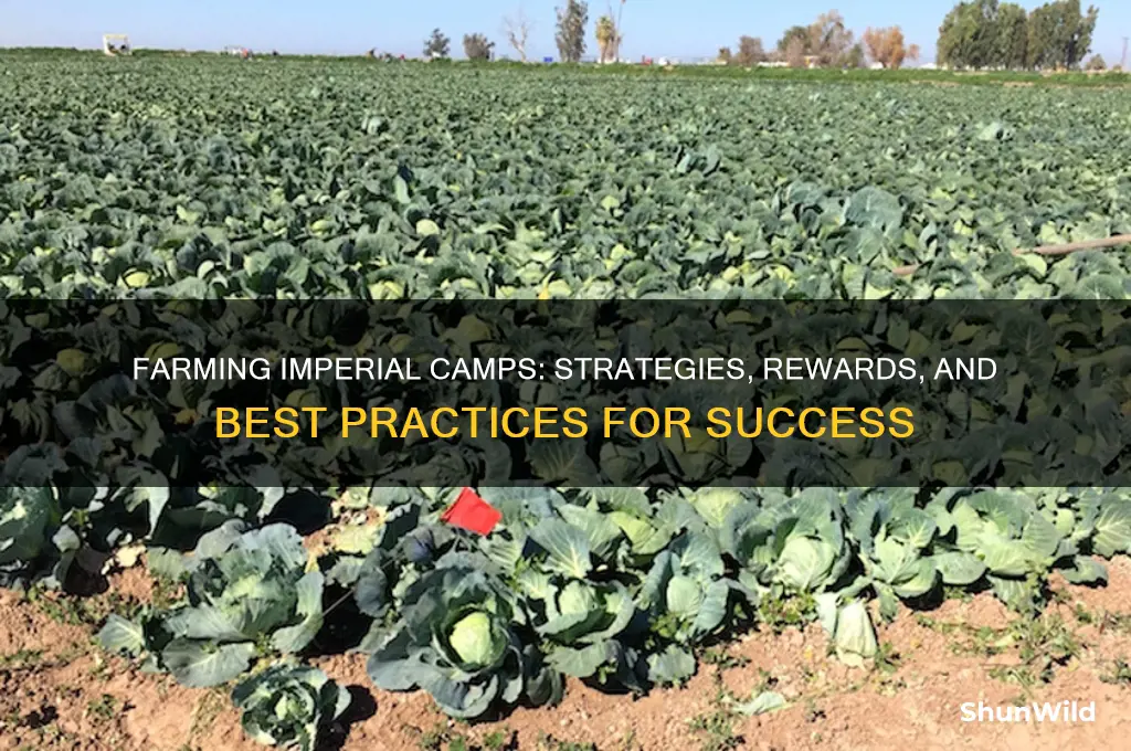 can i farm imperial camps
