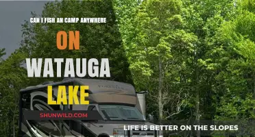 Exploring Watauga Lake: Fishing and Camping Rules and Locations