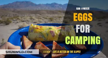 Freezing Eggs for Camping: A Practical Guide to Meal Prep