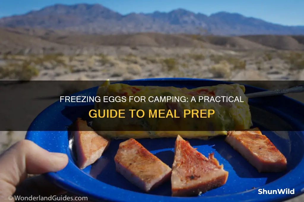 can i freeze eggs for camping