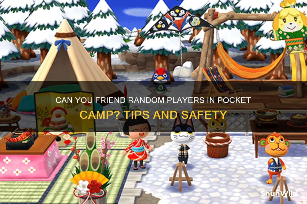 can i friend random people in pocket camp