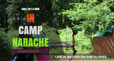 Finding a Bow in Camp Narache: Tips and Tricks for New Players