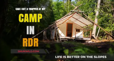 How to Get a Trapper at Your Camp in Red Dead Redemption 2