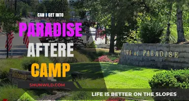 Exploring Paradise: Post-Camp Opportunities and Your Path to Entry