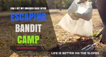 Escaping Bandit Camp: How to Reclaim Your Groshen Safely
