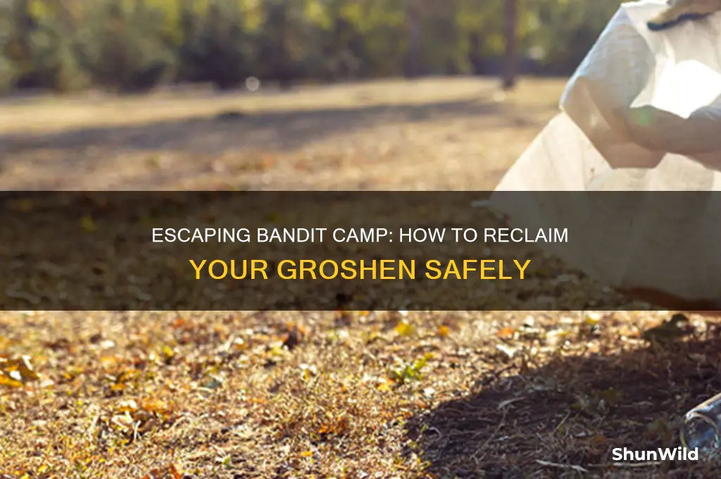 can i get my groshen back after escaping bandit camp