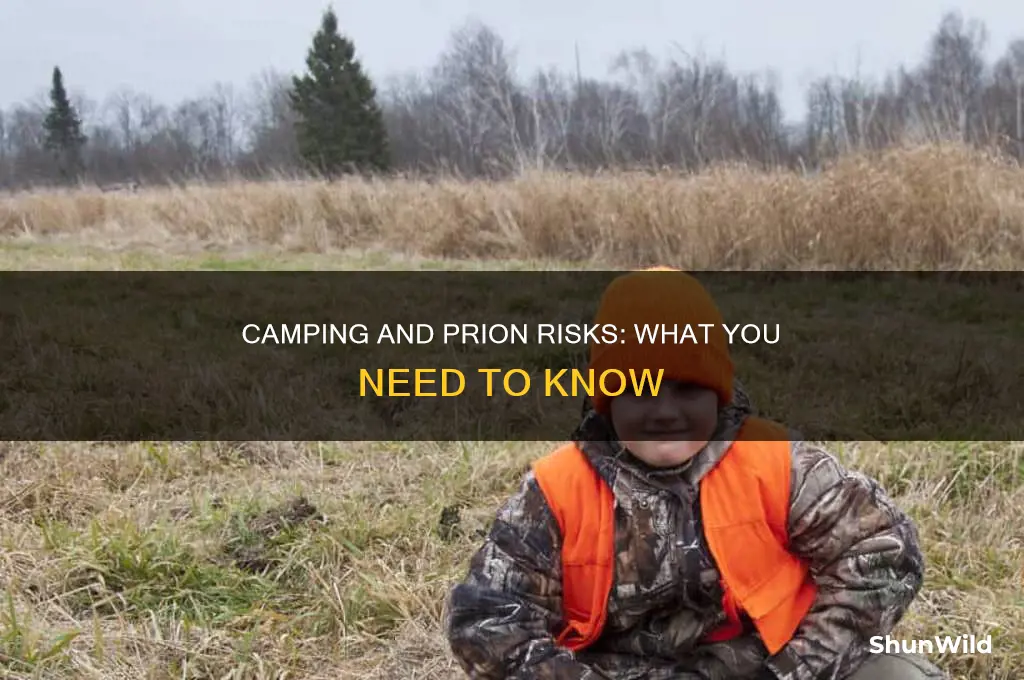 can i get prions from camping
