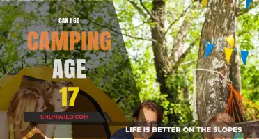 Camping at 17: Tips for Safe and Fun Teen Adventures