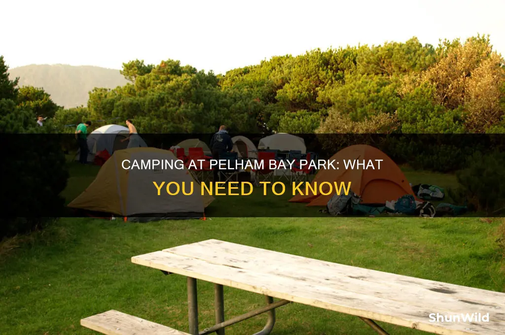can i go camping at pelham bay park