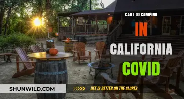 Camping in California During COVID: Safety Tips and Guidelines