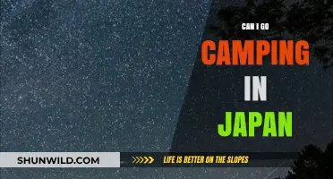 Exploring Japan's Great Outdoors: A Guide to Camping in Japan
