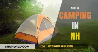 Exploring NH's Campsites: A Beginner's Guide to Camping in New Hampshire