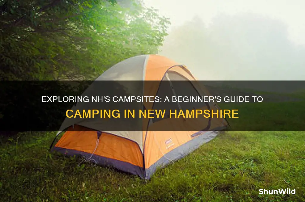 can i go camping in nh