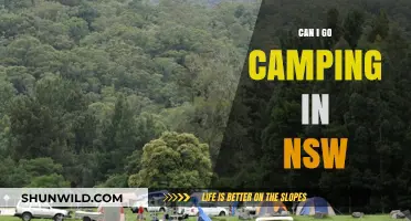 Camping in NSW: Top Spots, Tips, and What You Need to Know