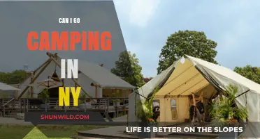 Exploring NY's Best Campsites: Your Ultimate Camping Guide