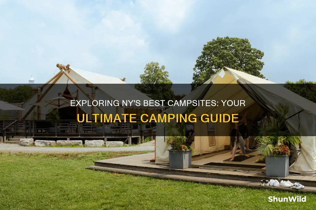 can i go camping in ny
