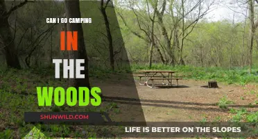 Can You Camp in the Woods? Essential Tips and Guidelines