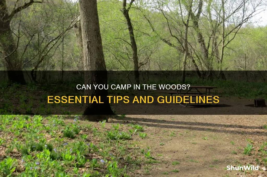 can i go camping in the woods