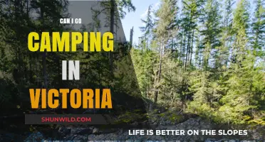 Camping in Victoria: Top Spots, Tips, and Seasonal Guide