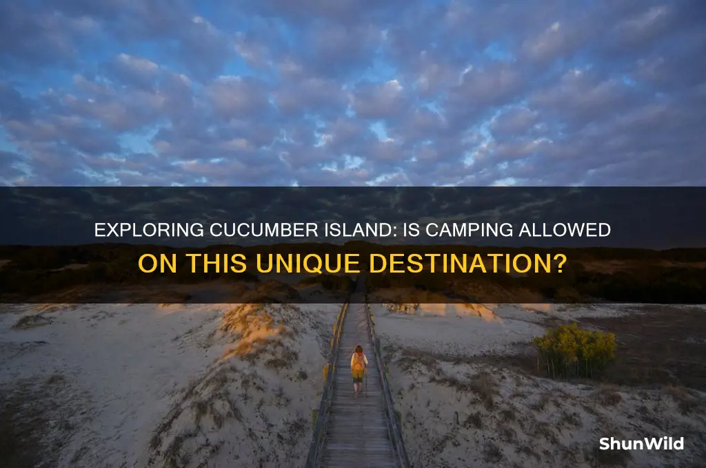 can i go camping on cucumber island