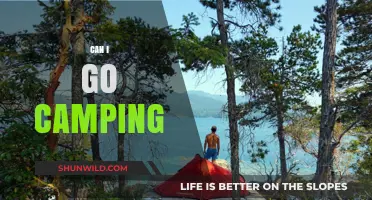Can I Go Camping? Essential Tips for First-Time Outdoor Adventures