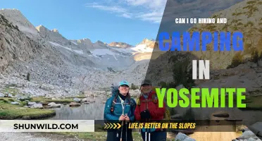 Exploring Yosemite: Hiking and Camping Tips for Your Adventure