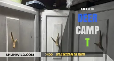 Can I Go to Deer Camp? Exploring Traditions, Safety, and Fun