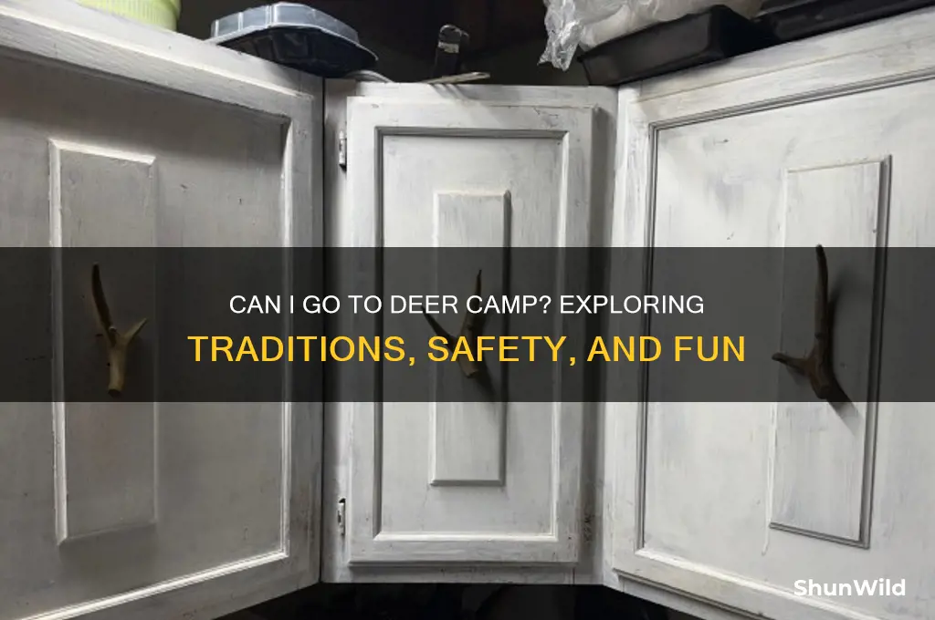 can i go to deer camp t
