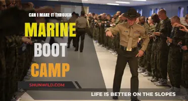 Surviving Marine Boot Camp: Can You Overcome the Ultimate Challenge?