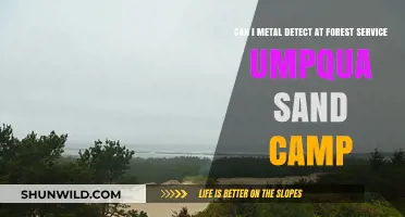 Metal Detecting at Umpqua Sand Camp: Forest Service Rules Explained