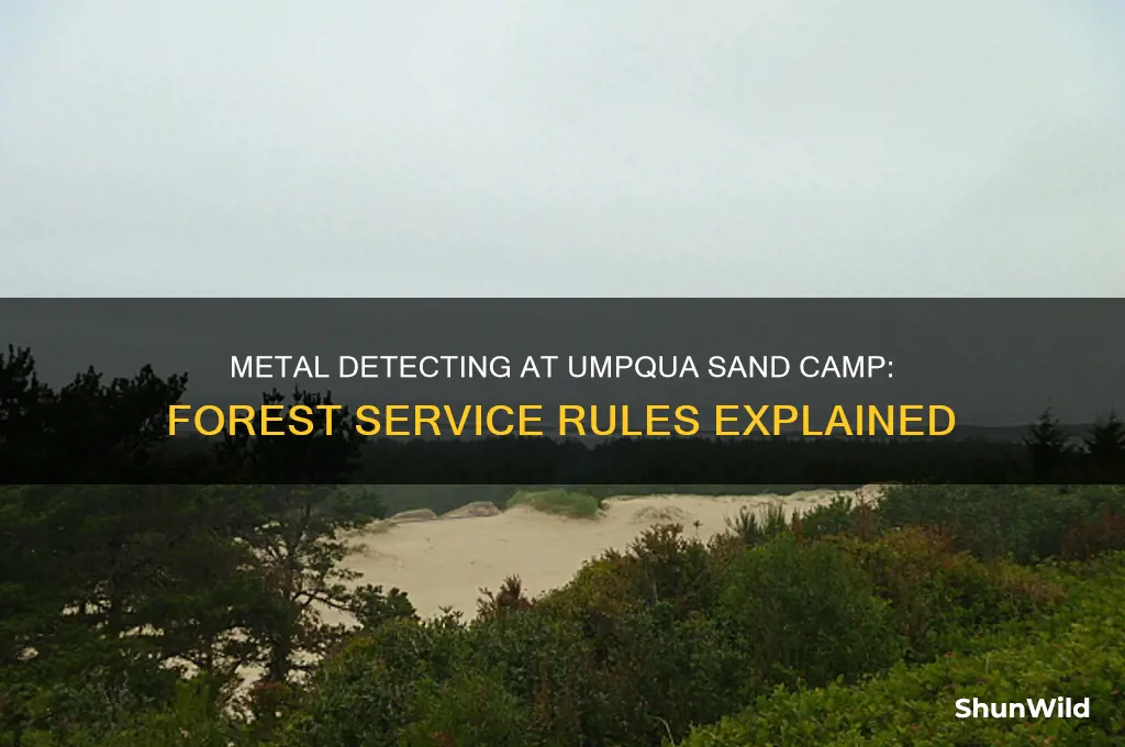 can i metal detect at forest service umpqua sand camp