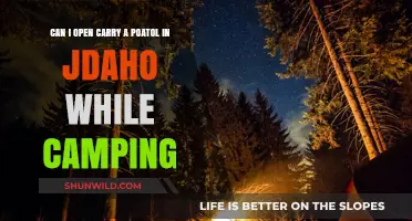 Open Carry a Pistol While Camping in Idaho: Legal Insights
