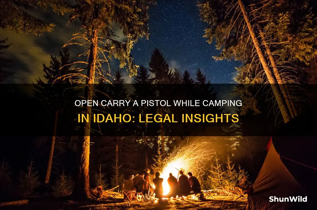 can i open carry a poatol in jdaho while camping