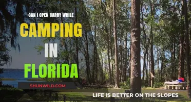 Open Carry While Camping in Florida: Legalities and Safety Tips